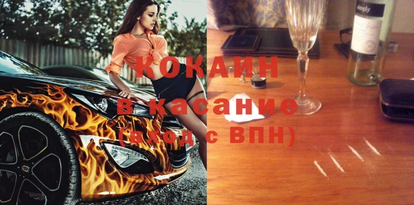 шишки Бородино
