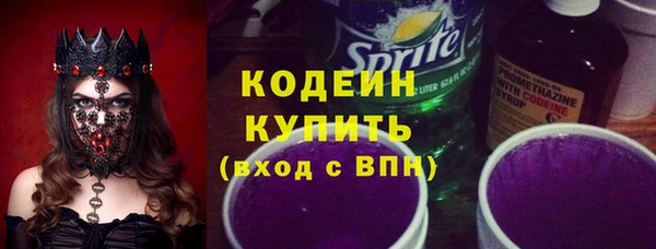 шишки Бородино