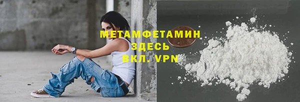 шишки Бородино