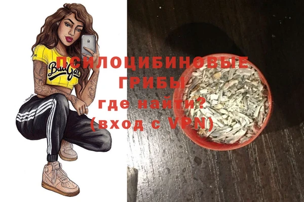 шишки Бородино