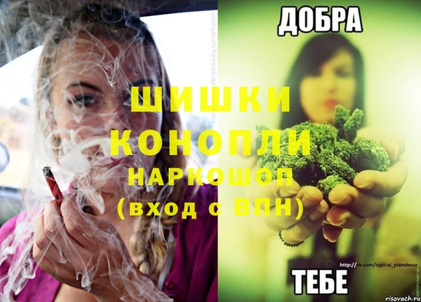 гидропоника Богородицк