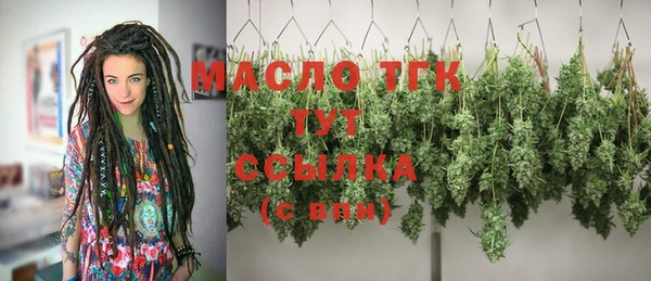 шишки Бородино