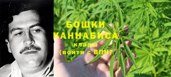 ECSTASY Бронницы