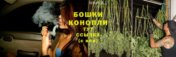 шишки Бородино