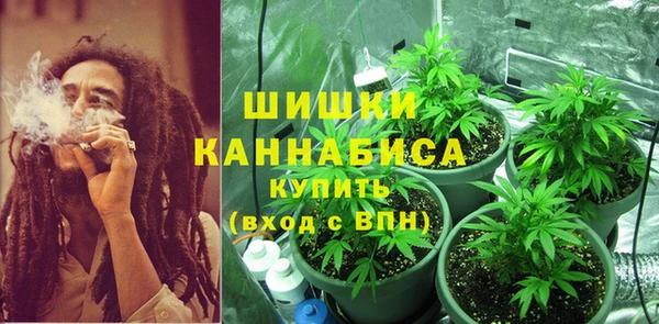 ECSTASY Бронницы