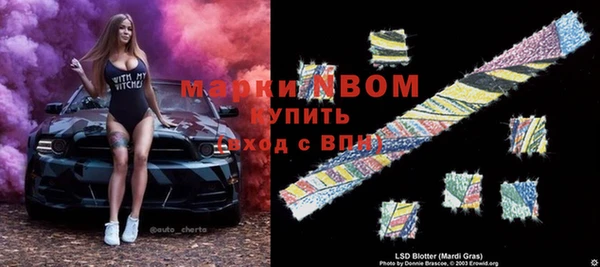 шишки Бородино
