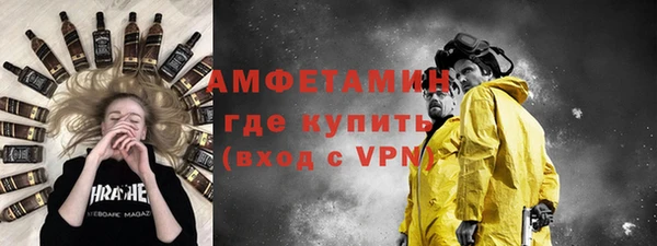 шишки Бородино