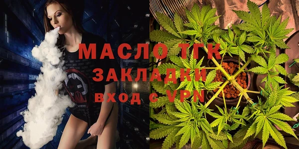 шишки Бородино
