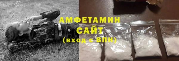 шишки Бородино