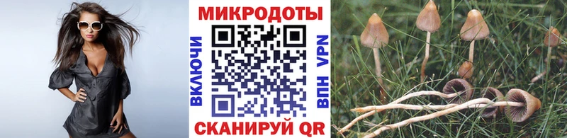 Псилоцибиновые грибы ЛСД  наркота  Невель 
